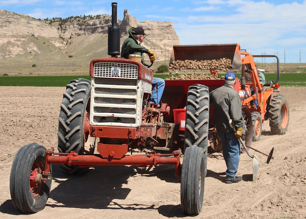 Legacy of the Plains Potatoes